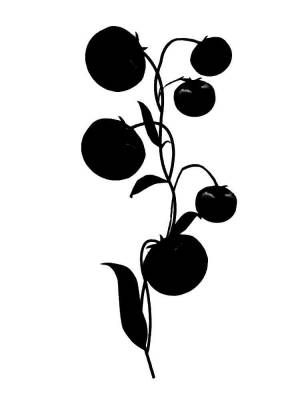 Трафареты Помидора