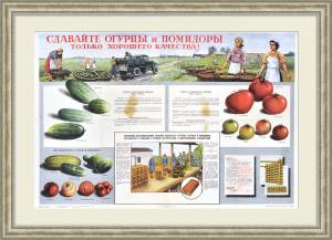 Только качественные огурцы и помидоры! Большой плакат СССР