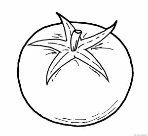 Помидор для срисовки