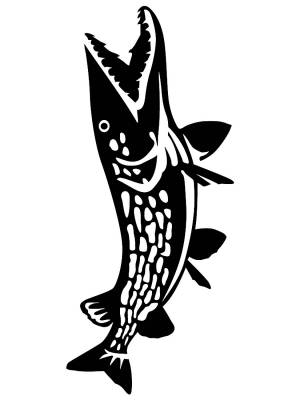 Трафареты Щуки