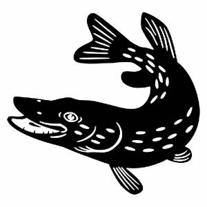 Трафареты Щуки