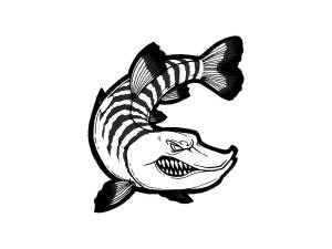 Трафареты Щуки