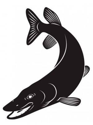 Трафареты Щука