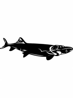 Трафареты Щуки