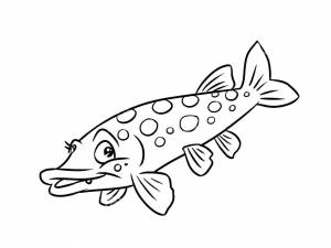 Раскраска рыба щука