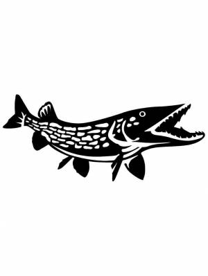 Трафареты Щуки