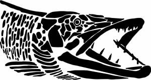 Трафарет щуки