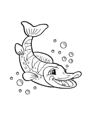 Раскраска рыба Щука