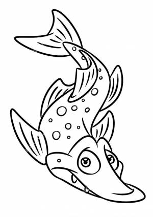 Раскраска щука ,   рисовать онлайн