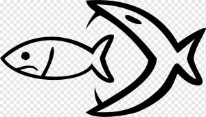 Рисунок глубоководной рыбы северной щуки, абсолют, угол, животные, текст png