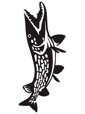 Трафареты Щука