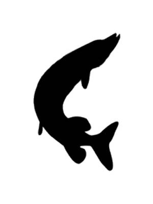 Трафареты Щука