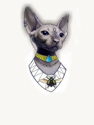 Сфинкс кошка рисунок