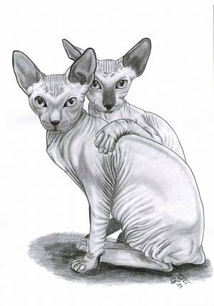 Рисунок сфинкса карандашом