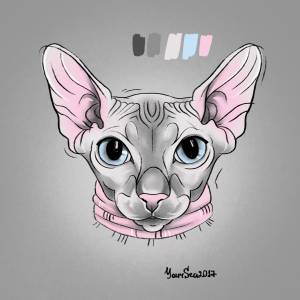 Сфинкс кошка рисунок