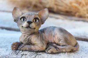 Сконовая форма Кот сфинкс