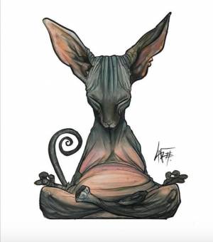Сфинкс кошка рисунок