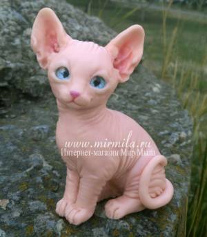 3D Форма сконовая Котенок сфинкса