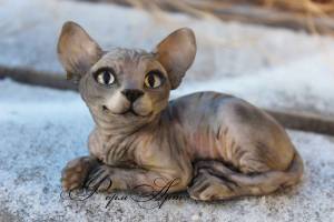 Сконовая форма Кот сфинкс