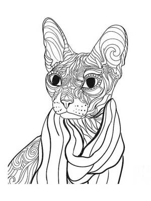 Раскраски Сфинкс кошка