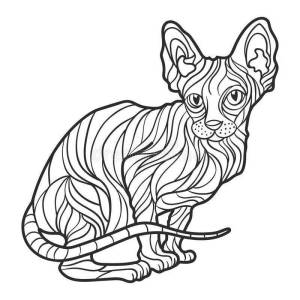 Раскраски Сфинкс кошка