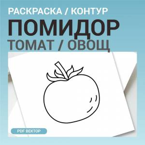 Помидор томат овощ