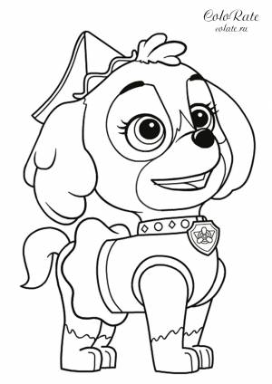 Раскраска Скай на Хэллоуин