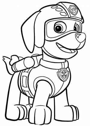 Раскраска Зума Щенячий Патруль