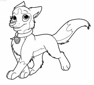 Рекс щенячий патруль раскраска