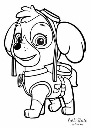 Девочка-щенок Скай из Щенячьего патруля