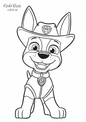 Раскраска Веселый щенок Трекер