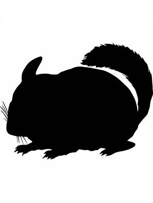 Трафареты Шиншиллы