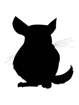 Трафареты Шиншиллы