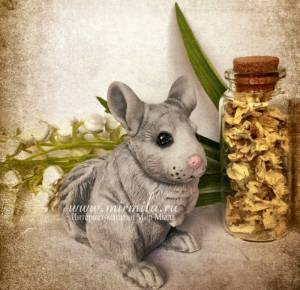 3D Форма сконовая Шиншилла