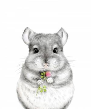 Мультяшная шиншилла