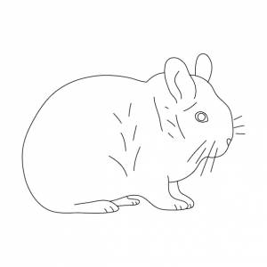Эскиз шиншиллы, нарисованный вручную векторная ручная иллюстрация