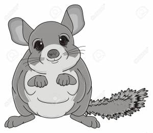 Мультяшная шиншилла