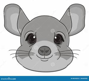 шиншилла Стоковых иллюстраций и клипартов