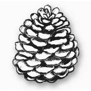 Трафарет шишки