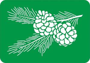 Трафарет на клеевой основе, Шишки, 14*20 см