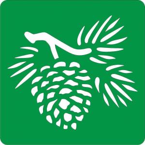 Трафарет на клеевой основе Шишка-1, 10*10 см