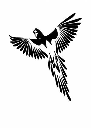 Трафареты Попугая