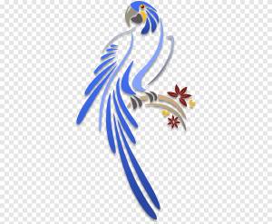 Трафарет Попугай Птица Иллюстрация Рисунок, наби, трафарет, попугай png