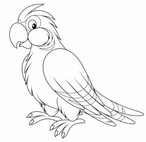 Трафарет попугая