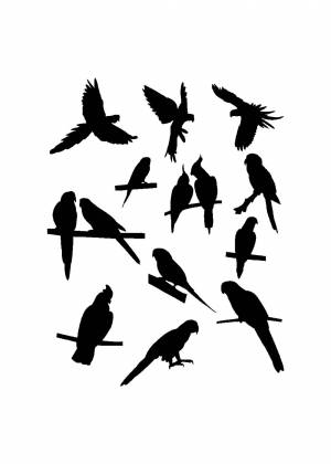 Трафареты Попугая