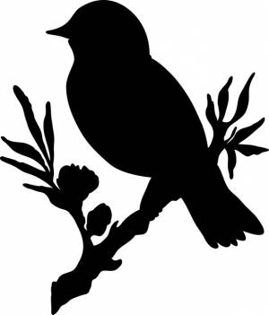 Трафареты птиц