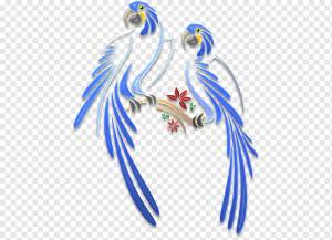 Трафарет Птица Силуэт Рисунок, Птица, животные, попугай, позвоночный png