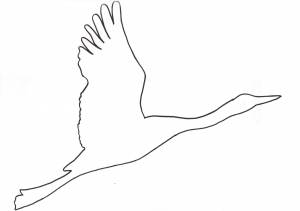 Трафарет и шаблон на окна