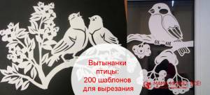 Вытынанки птицы 200 шаблонов для вырезания