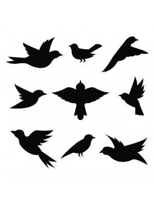 Трафареты Птиц